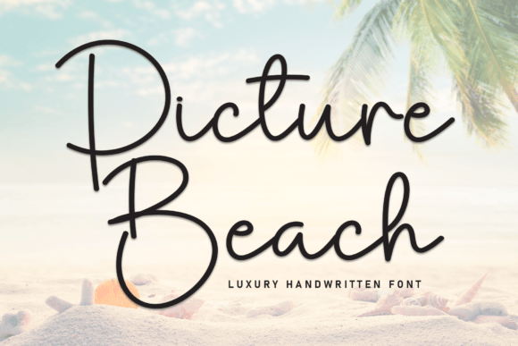 The Elegant Editorial Rhythm of Picture Beach